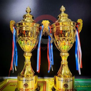 Cup đồng AOE All Star