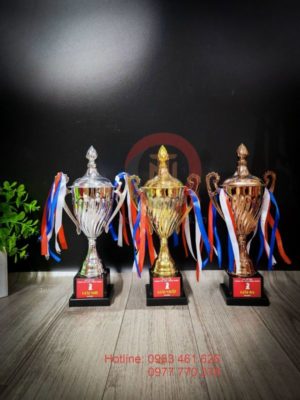 Cup đồng cờ vua Hữu Thắng Sport